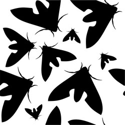 Similar image 2162830