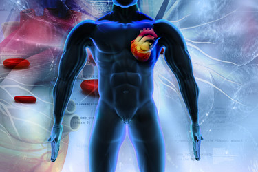 Similar image 2162831