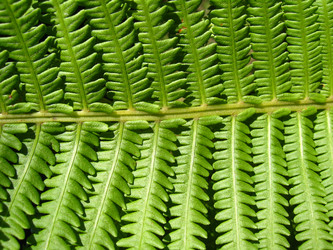 Similar image 2162848