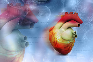 Similar image 2162895