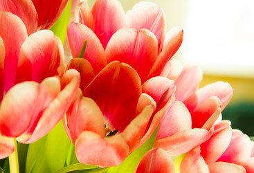 Similar image 2163031