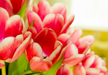 Similar image 2163035