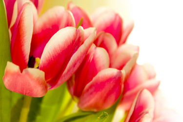 Similar image 2163036