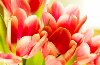 Similar image 2163037