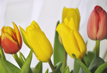 Similar image 2163465