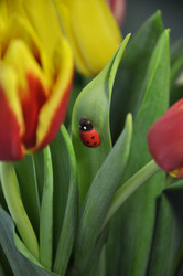 Similar image 2163466