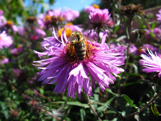 Similar image 2163514