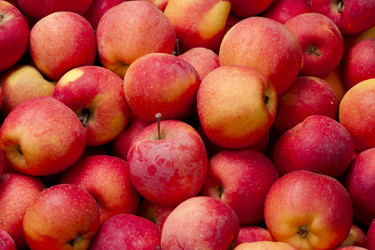 Similar image 2163577