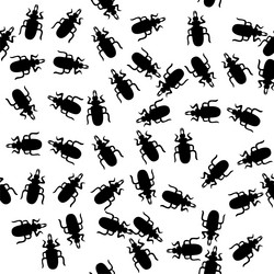 Similar image 2163582