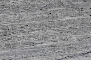 Similar image 2163704