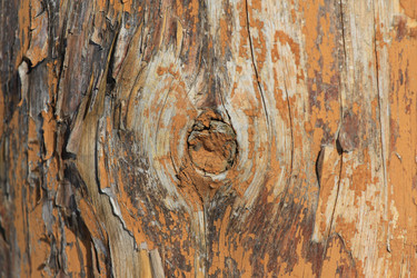 Similar image 2163715