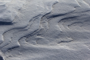 Similar image 2163789