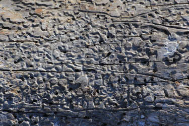 Similar image 2163790