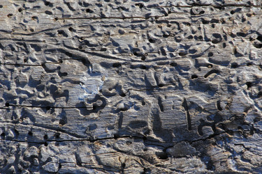 Similar image 2163791