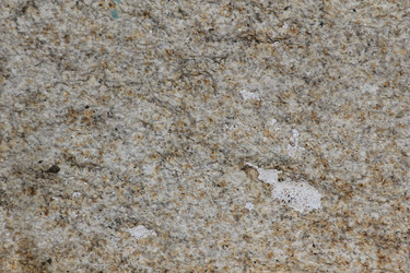 Similar image 2163800