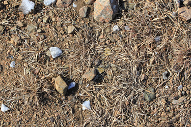 Similar image 2163812