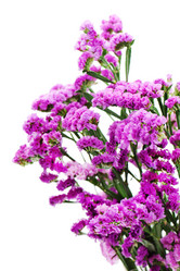 Similar image 2163850