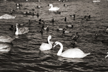 Similar image 2163875