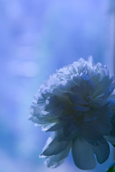 Similar image 2163901