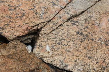 Similar image 2163971