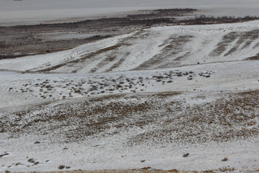 Similar image 2163975