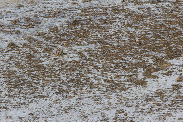 Similar image 2163978