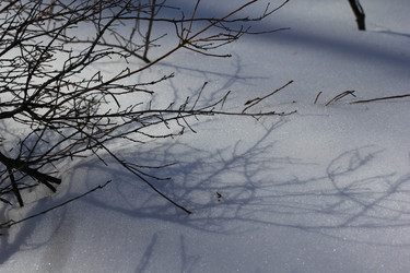 Similar image 2163983