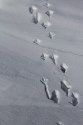 Similar image 2163992