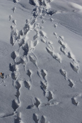 Similar image 2163993