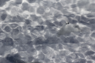 Similar image 2164003