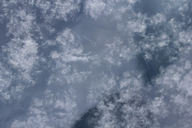 Similar image 2164008