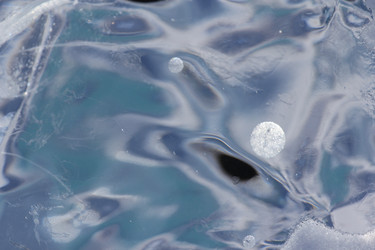 Similar image 2164012