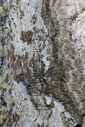 Similar image 2164025