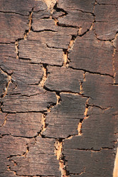 Similar image 2164026