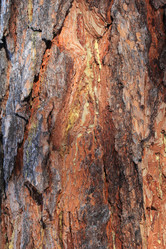 Similar image 2164027