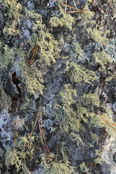 Similar image 2164028