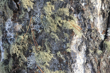 Similar image 2164029