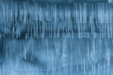 Similar image 2164062