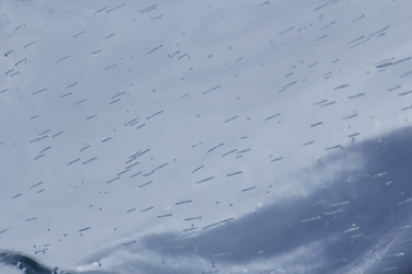 Similar image 2164075