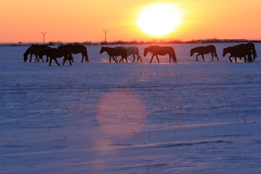 Similar image 2164090