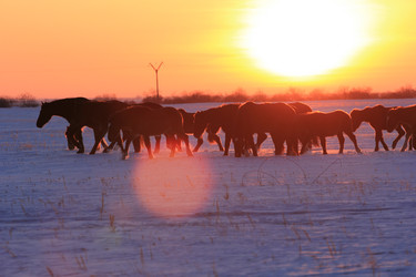 Similar image 2164091