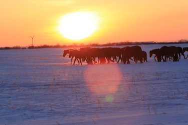 Similar image 2164099