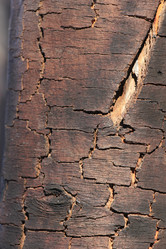 Similar image 2164102