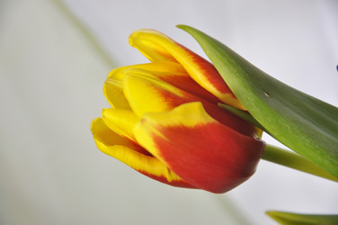 Similar image 2164160