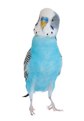 Similar image 2164171