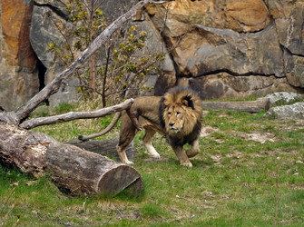 Similar image 2164176