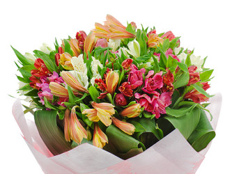 Similar image 2164310