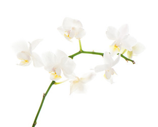 Similar image 2164312