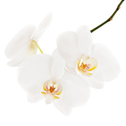 Similar image 2164314