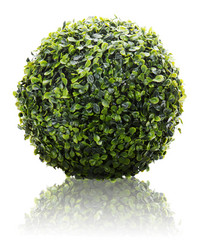 Similar image 2164320